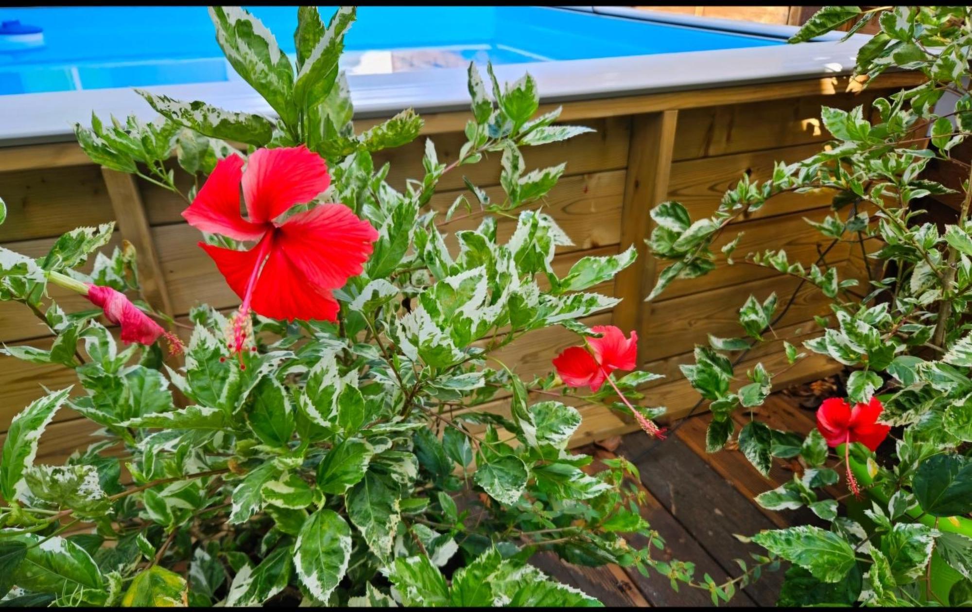 Gite Rubis Passion Port-Louis Eksteriør billede